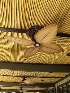 Guard reccomend Asian ceiling fan