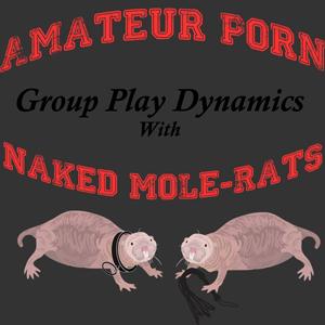 best of Group play amateur