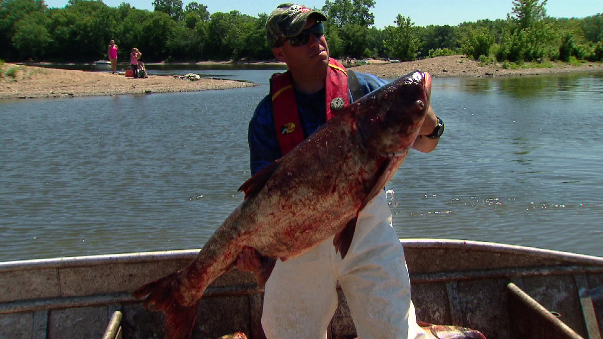 CatвЂ™s E. reccomend Asian carp species