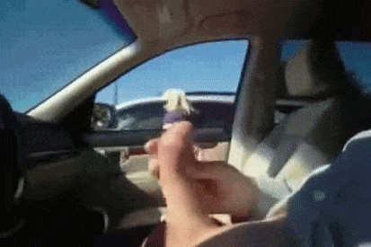 best of Driving while april down nude naked