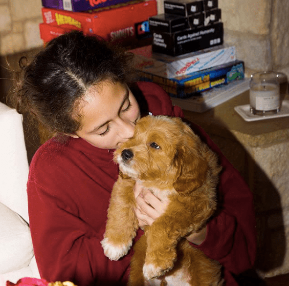 Playing ffetch with toronto puppy