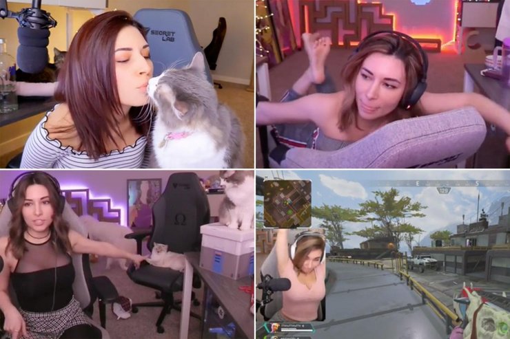 best of Accidentally stream alinity shows