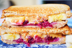 best of Butter sandwich part jelly peanut