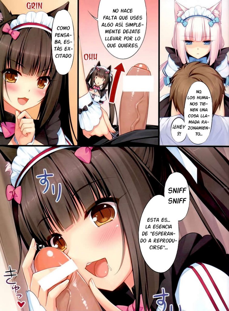 best of Time nekopara volume scene chocolas first