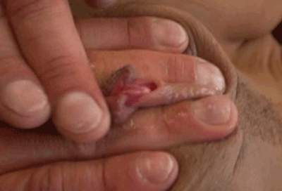 Huge clit fingering