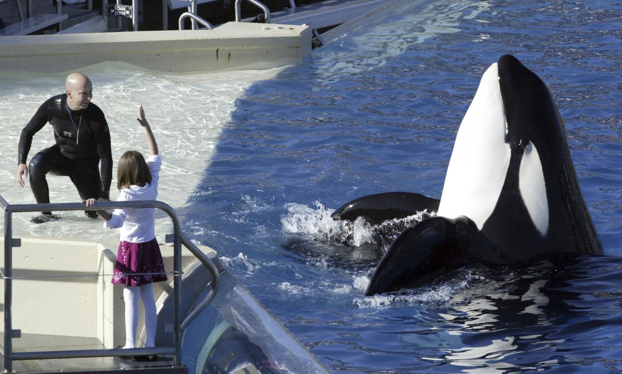 Black D. reccomend front seats seaworlds splash zone