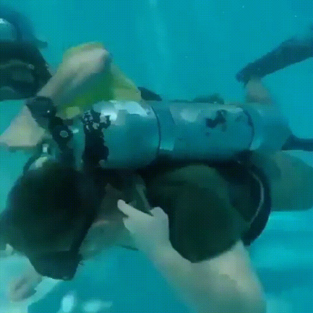 best of Aquarium scuba diving