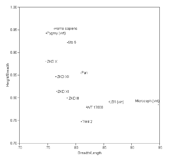 best of Contractions count rapidfire cant