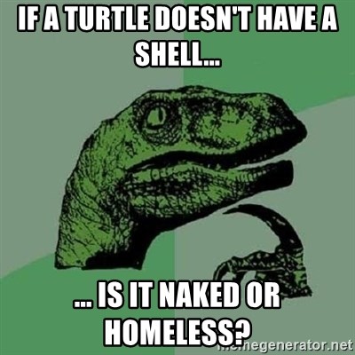 Takes homeless ends inside shell