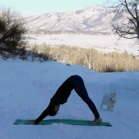best of Leggins flexibility stretches relaxation yoga
